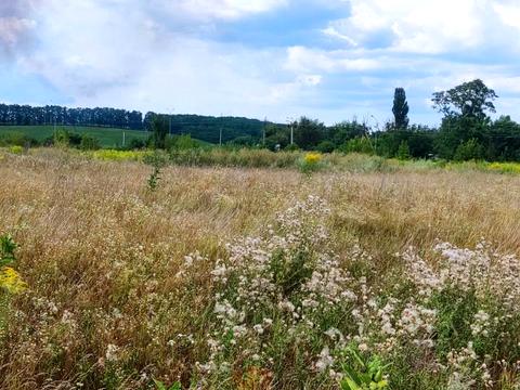 участок по адресу вул.Південна, 6