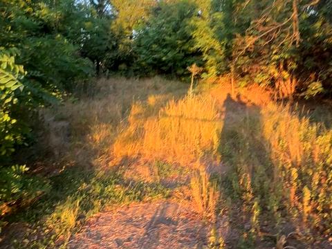ділянка за адресою пров.Мельничний, 1