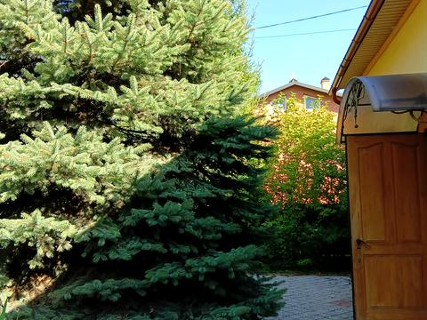 дом по адресу Владимира Великого ул., 5
