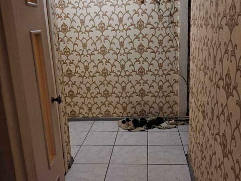 квартира по адресу Степана Бандери ул. (Шмидта), 8