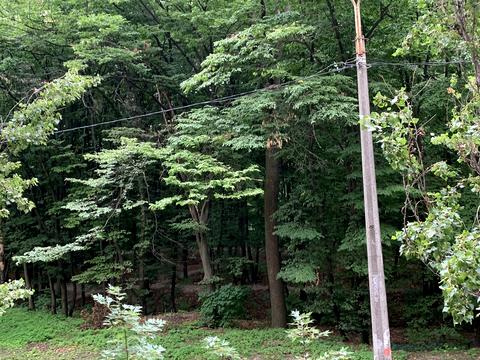 квартира за адресою Виставкова вул. (Полковника Потєхіна), 8