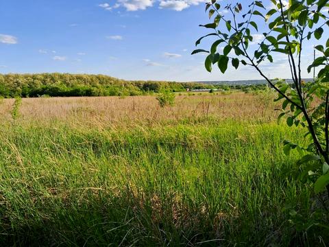 ділянка за адресою Дніпрова