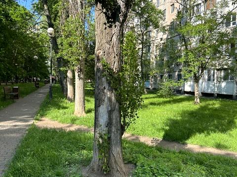 квартира за адресою Кримська вул., 84