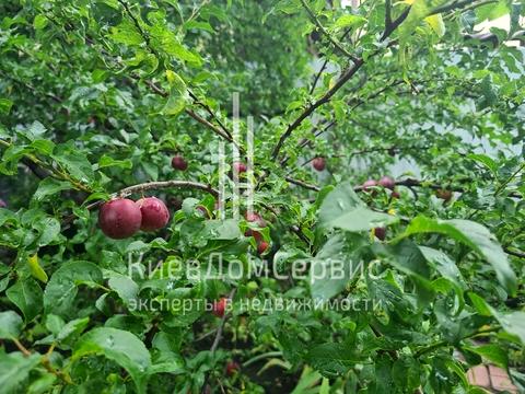 будинок за адресою Вишневая, 22