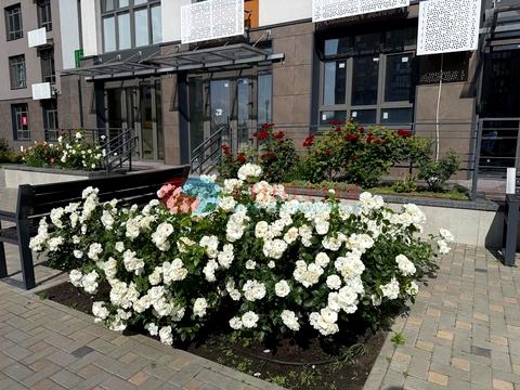 квартира за адресою Тираспольська вул., 52