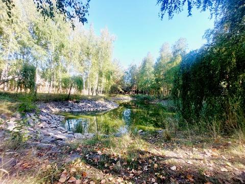 будинок за адресою с. Колонщина, Новомар'янівська, 5А