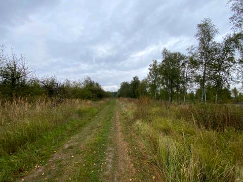 ділянка за адресою Південна