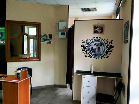 комерційна за адресою попудренко, 17