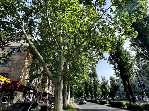 комерційна за адресою Люстдорфська дорога вул., 27