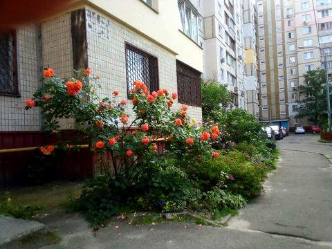 квартира за адресою Лариси Руденко вул., 7