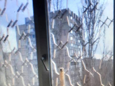 квартира по адресу Академика Заболотного ул., 42