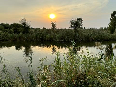 ділянка за адресою провулок Широкій