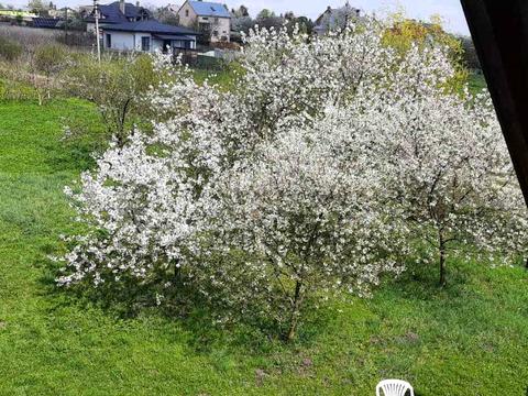 будинок за адресою Романа Сушка вул., 5