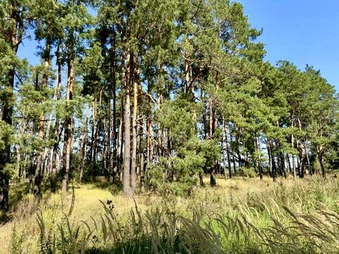 участок по адресу 