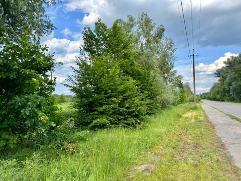 ділянка за адресою 