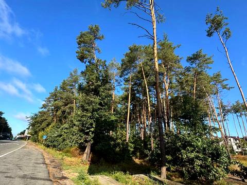 участок по адресу Гостомельське шосе, 11а