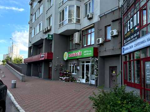 комерційна за адресою Єлизавети Чавдар вул., 1