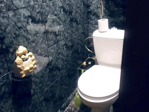квартира по адресу Паникахи ул., 12