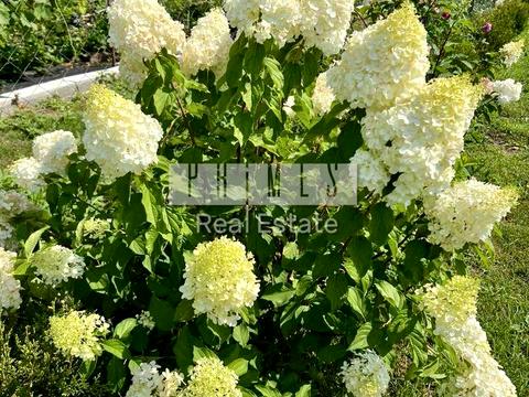 будинок за адресою Світильня