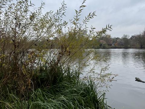 ділянка за адресою Зарічна вул.