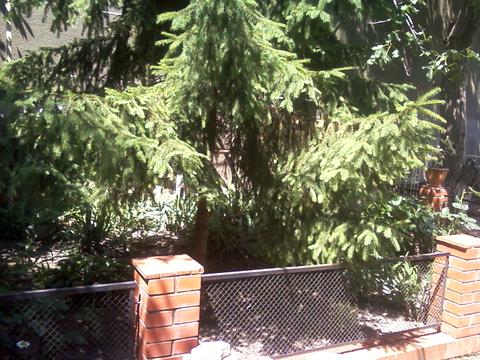 будинок за адресою Дмитра Іванова вул.