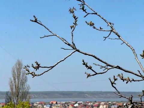 квартира за адресою Академіка Заболотного вул., 22