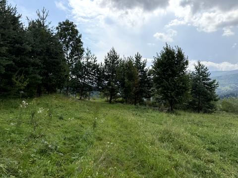 будинок за адресою Центральна, 912