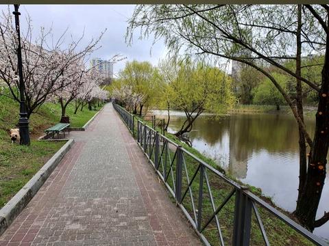 квартира по адресу Харьков, Родниковая ул., 3