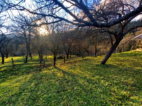 участок по адресу пгт. Верховина, вул. Невестюка