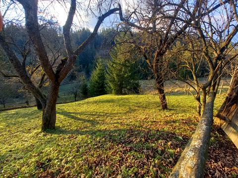 участок по адресу пгт. Верховина, вул. Невестюка