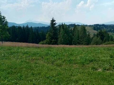 участок по адресу Середня