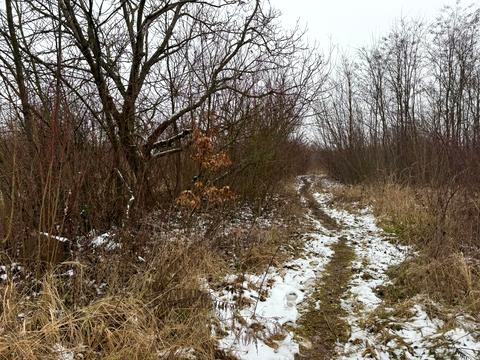 ділянка за адресою Озерна вул.