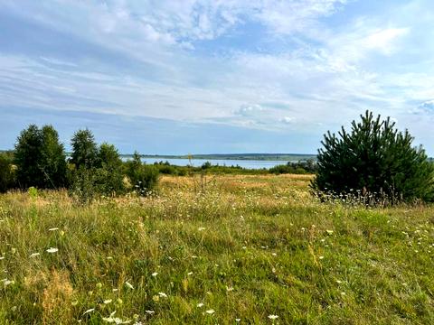 ділянка за адресою Андрея Шептицького вул.