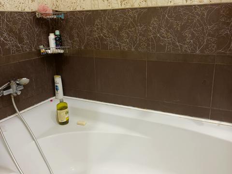 квартира за адресою Перемоги просп., 66з