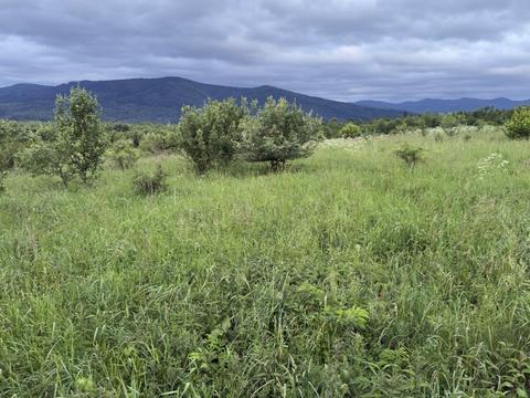 ділянка за адресою Січових Стрільців