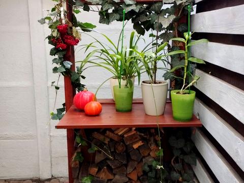 будинок за адресою Лисенка вул.