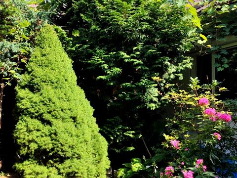 квартира по адресу Миколи Лукаша ул. (Миколи Скрипника), 6