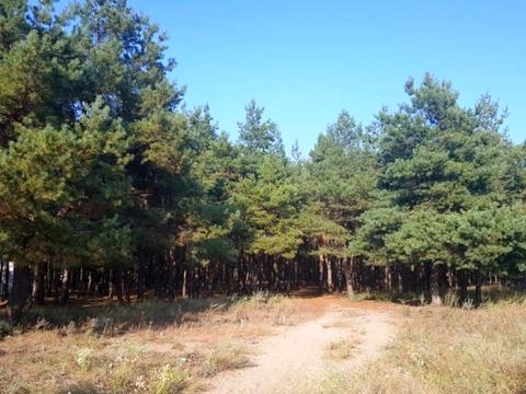 ділянка за адресою Миколаїв, Новобудівна вул., 1