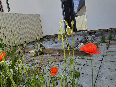 дом по адресу Українська ул.