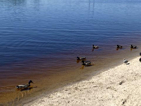 квартира по адресу Причальная ул., 10