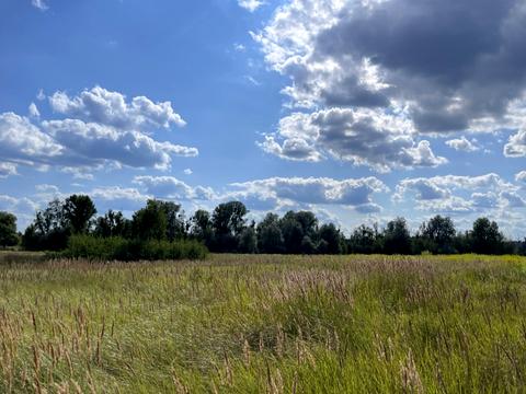 ділянка за адресою смт. Гостомель, 