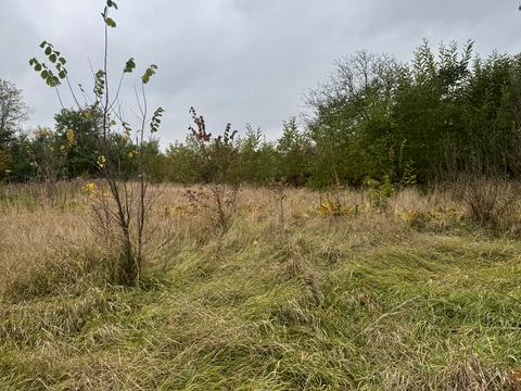 ділянка за адресою Зарічна вул.