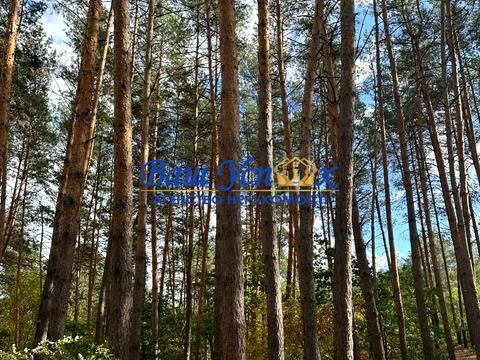 будинок за адресою Набережно-Лугова вул., 55