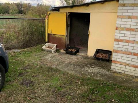 будинок за адресою с. Мала Супоївка, Польова, 2