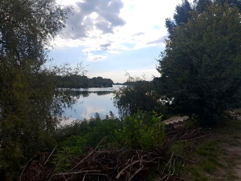 ділянка за адресою с. Осещина, Горіхова