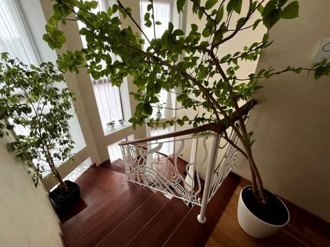 будинок за адресою Академіка Кримського пров.