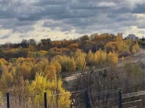 дом по адресу Лісова