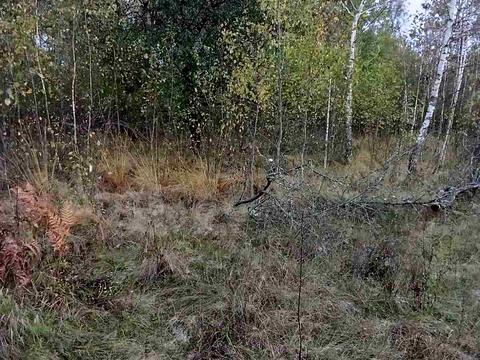 участок по адресу Лесі Українки