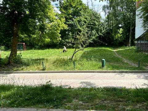 квартира за адресою Городоцька вул., 243