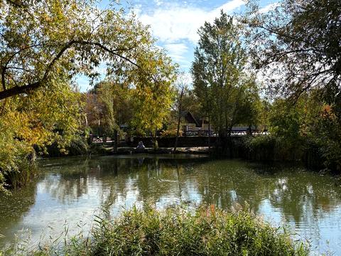 квартира по адресу Новоалександровская ул., 54а к5